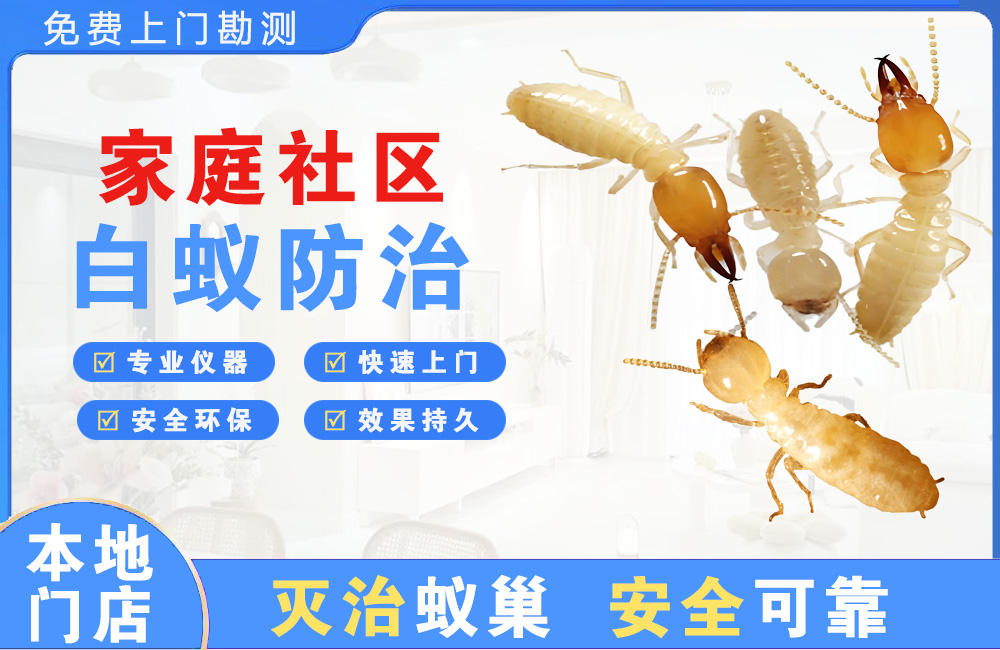 凯里家庭社区白蚁防治