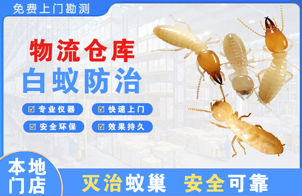 凯里物流仓库白蚁防治