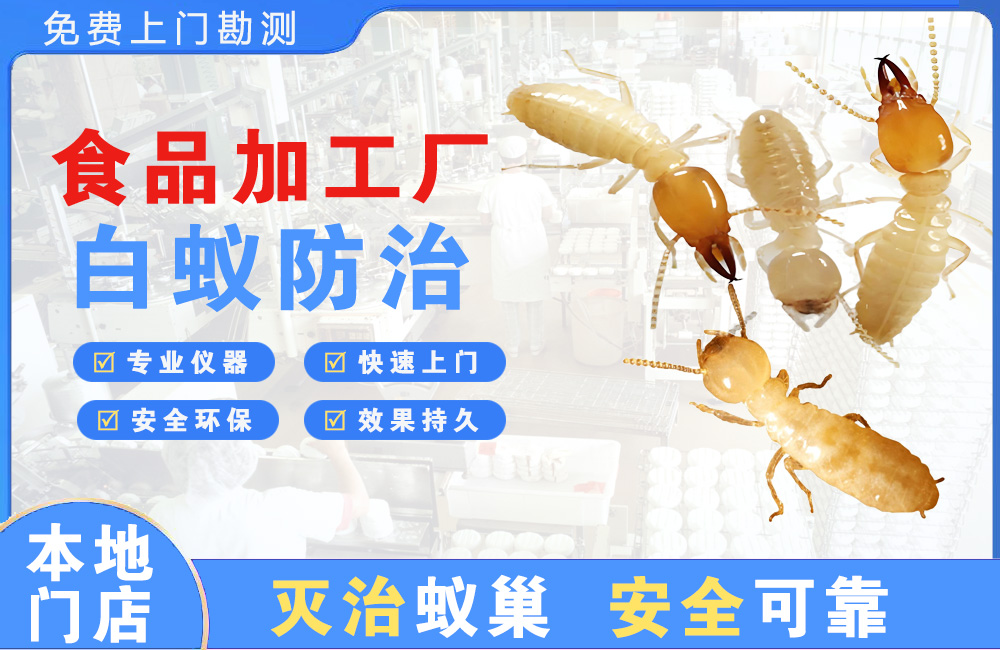 凯里食品加工厂白蚁防治
