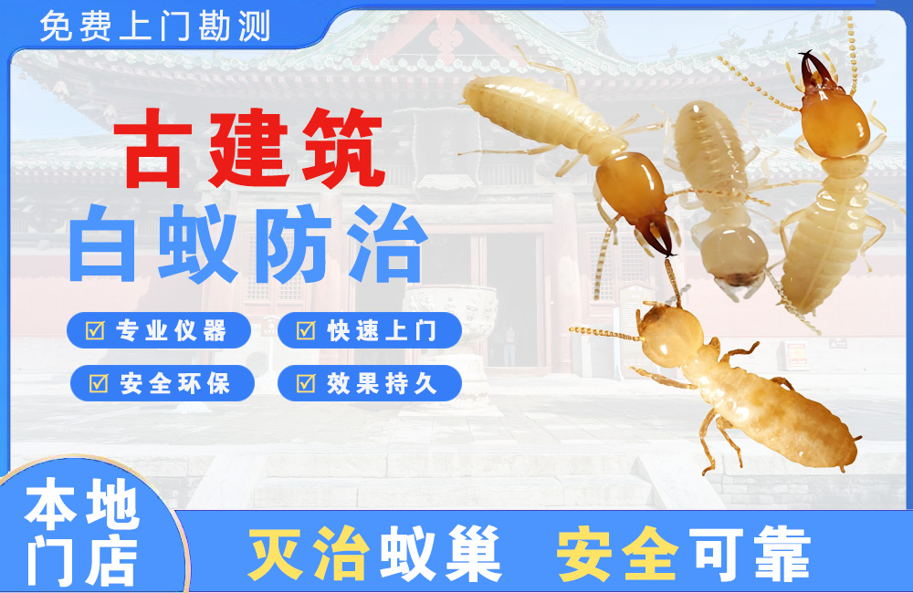 凯里古建筑白蚁防治