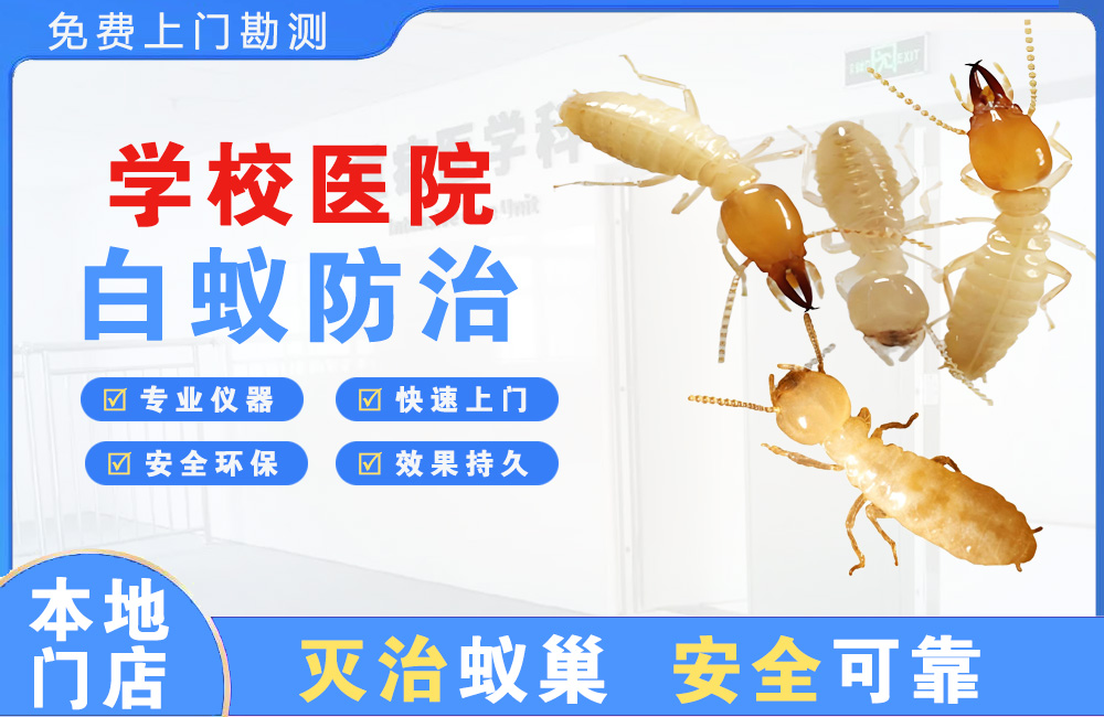 凯里学校医院白蚁防治