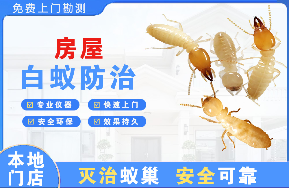 凯里房屋白蚁防治
